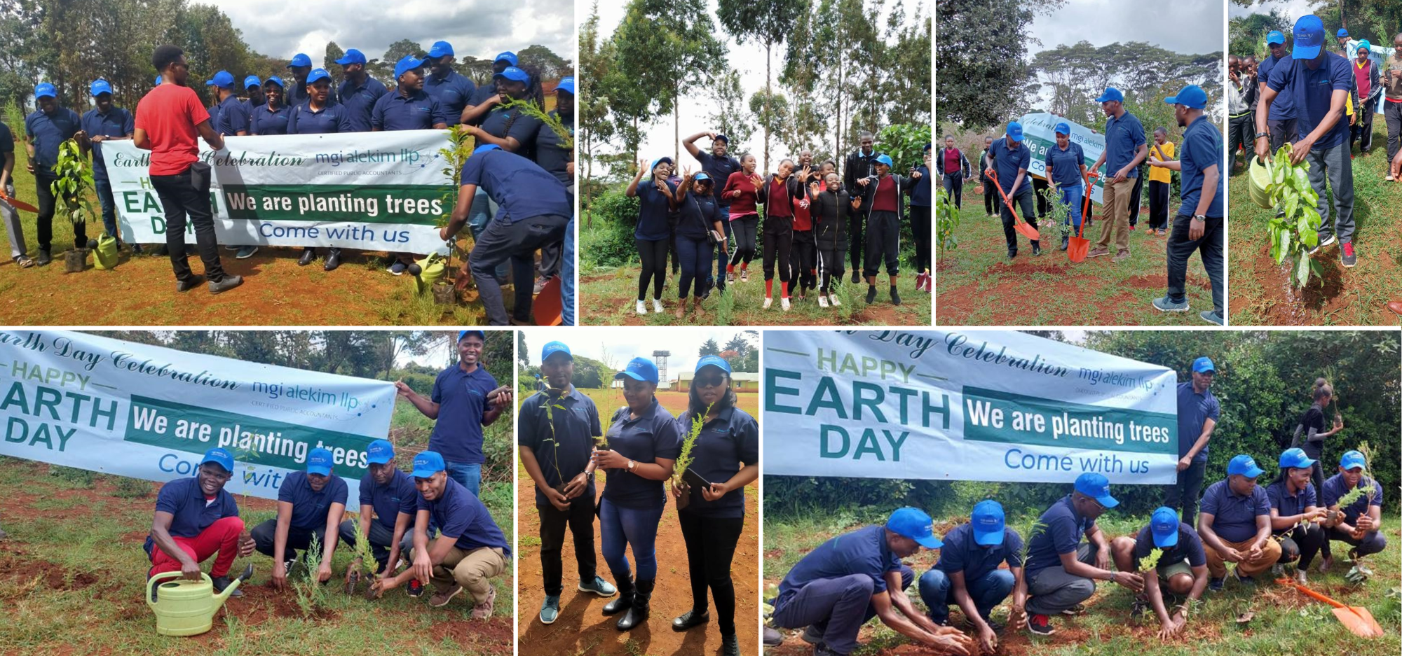 Montage of 7 images of people planting trees