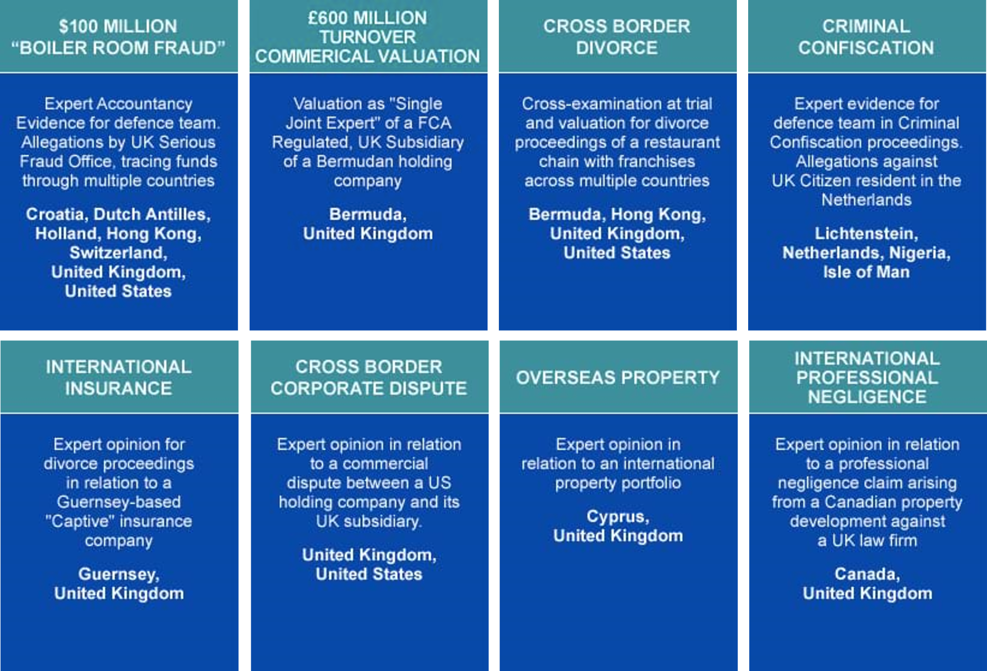 8 blocks of examples of evidence of Forensic Accounting Group work