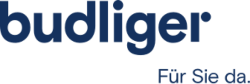 budliger-x250-logo.png